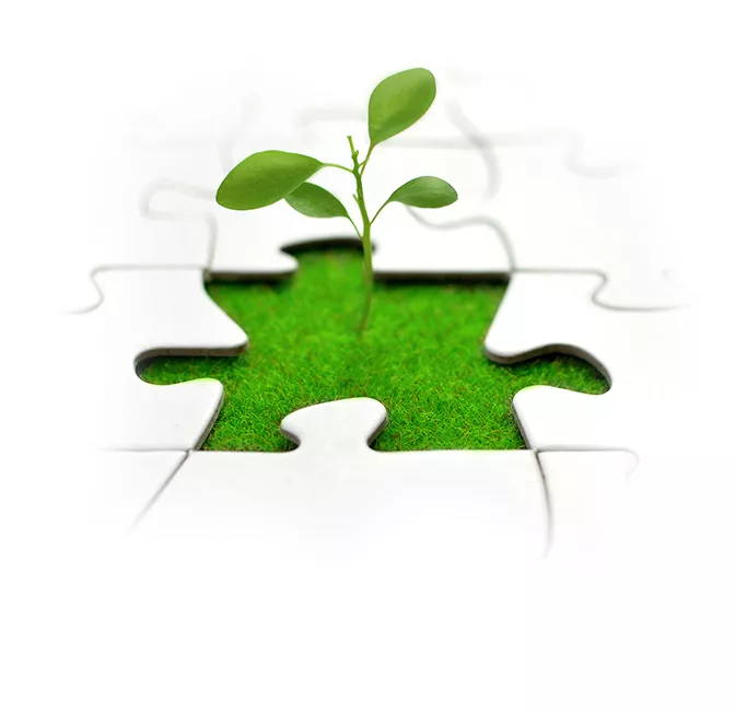 WHY We DEDICATED DEVELOPMENT CENTERS